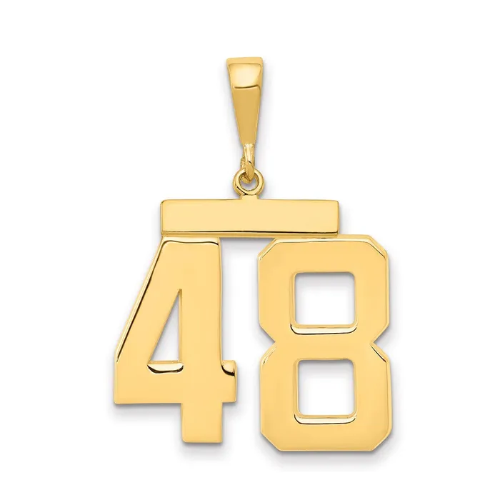 14k Yellow Gold Large Polished Number 48 Charm Goldia Charm Necklaces