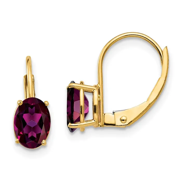 Earrings Goldia 14k Yellow Gold 7x5mm Oval Rhodolite Garnet Leverback Earrings