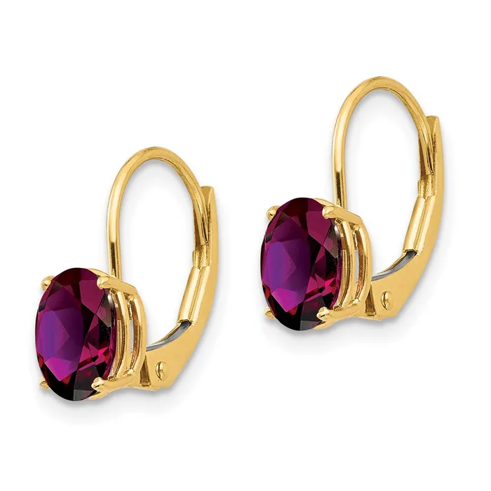 Earrings Goldia 14k Yellow Gold 7x5mm Oval Rhodolite Garnet Leverback Earrings