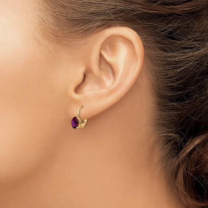 Earrings Goldia 14k Yellow Gold 7x5mm Oval Rhodolite Garnet Leverback Earrings