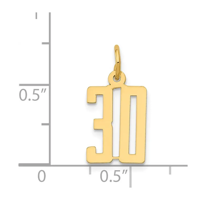 14k Small Elongated Number 30 Charm TreasureFineJewelers Charm Necklaces