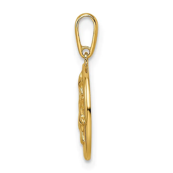 PreStyled Sets TreasureFineJewelers 14k Yellow Gold CZ Stars Circular Pendant