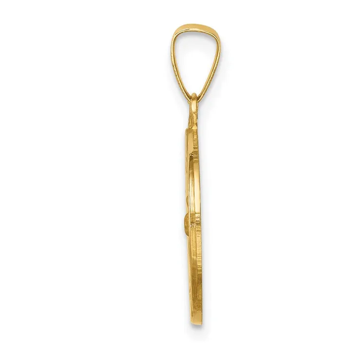 TreasureFineJewelers 14k Yellow Gold Polished and Satin St Francis Medal Hollow Pendant Necklaces