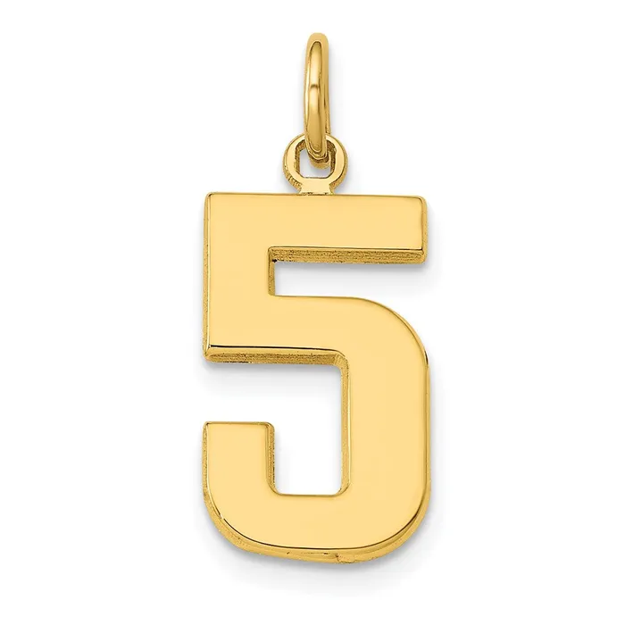 TreasureFineJewelers Charm Necklaces 14k Medium Polished Number 5 Charm