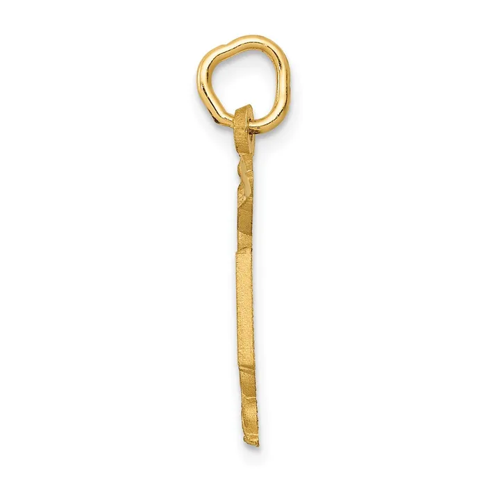 TreasureFineJewelers Charm Necklaces 14k RN Nurse Charm