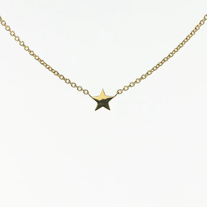 Tashi Necklaces Gold Vermeil Star Necklace
