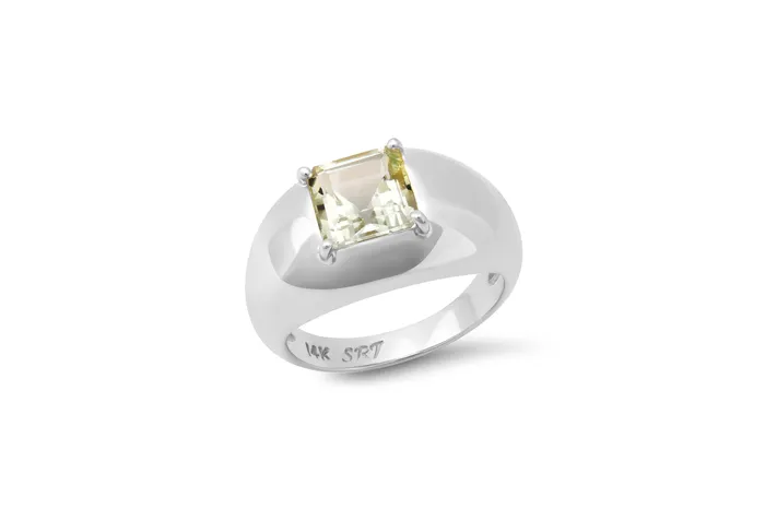 Shylee Rose Jewelry Princess Cut Aquamarine Domed Ring Rings
