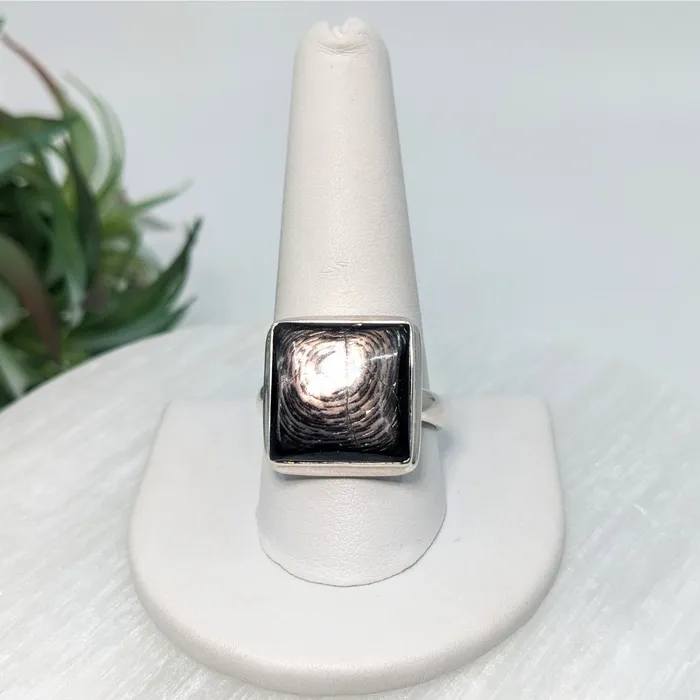 Bliss Crystals Rings Hypersthene Sz 11 SS Ring LV5605