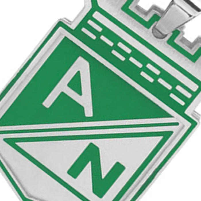 Necklaces INOX JEWELRY Green and Silver Tone Stainless Steel Columbian Football Team Small CutOut Pendant