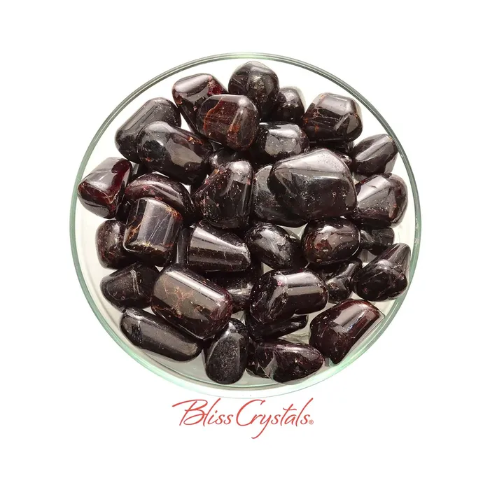 Red Fire GARNET Tumbled Stone for Capricorn Birthstone FG09 Bliss Crystals Necklaces