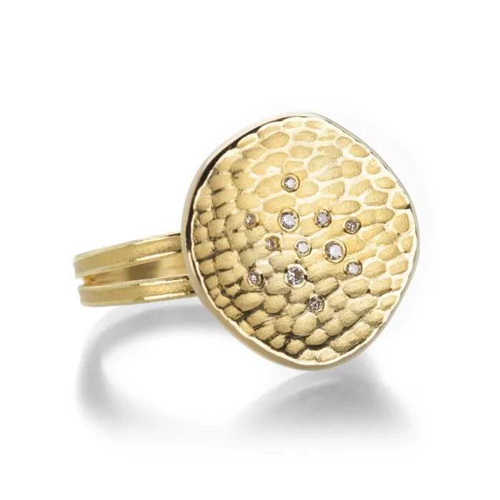 Barbara Heinrich Split Shank Glacier Ring with Diamonds Rings