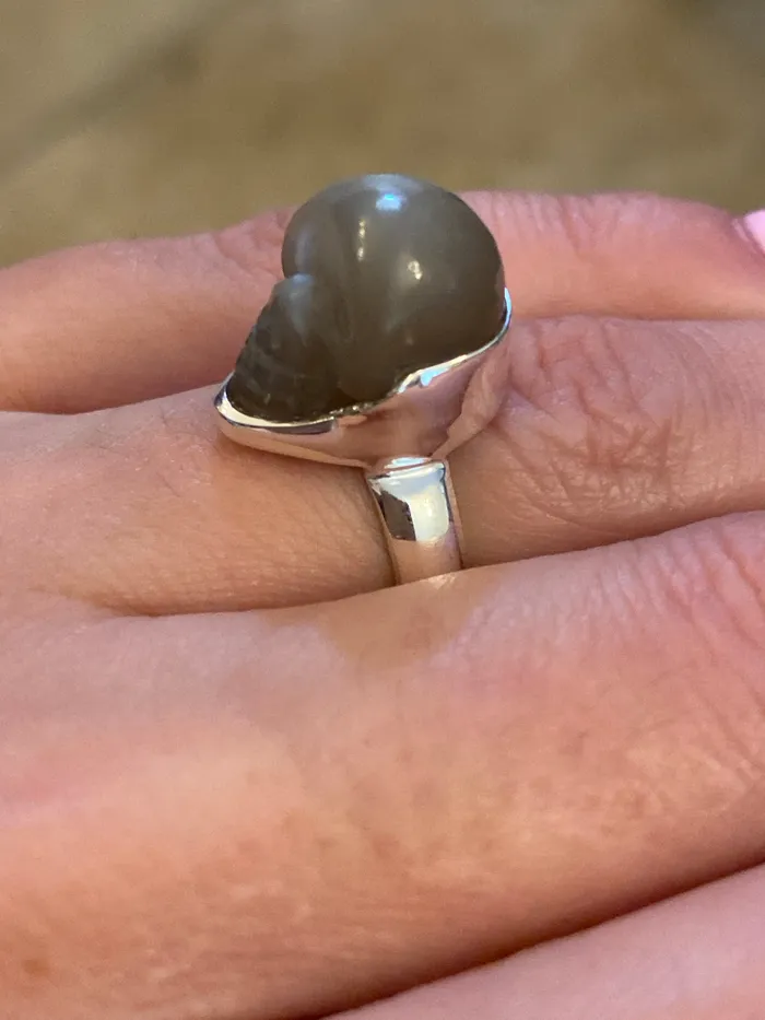 Rings Sophiareneboutique Sterling Silver Labradorite Skull Ring